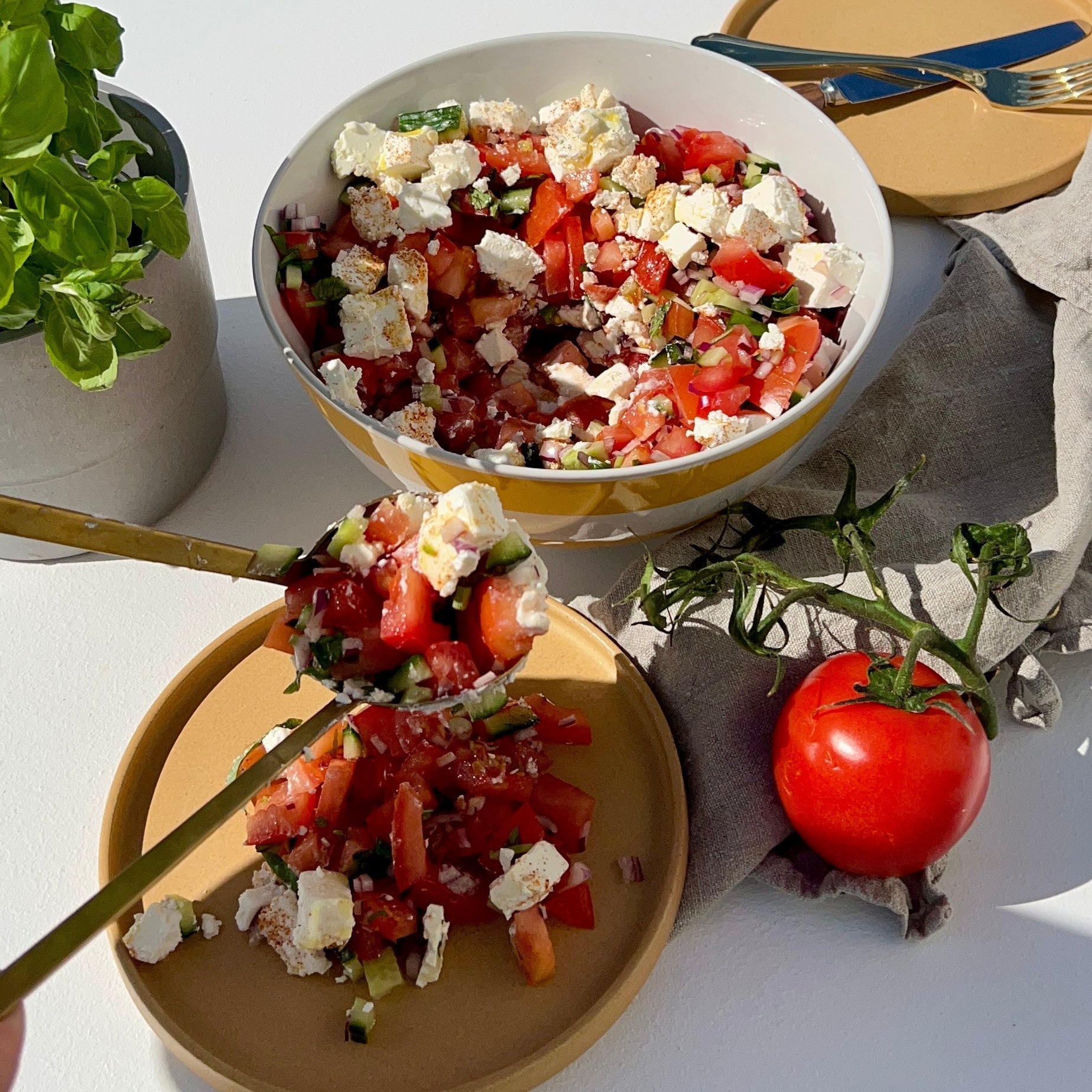 Frisk tomatsalat | Tomatsalat med basilikum