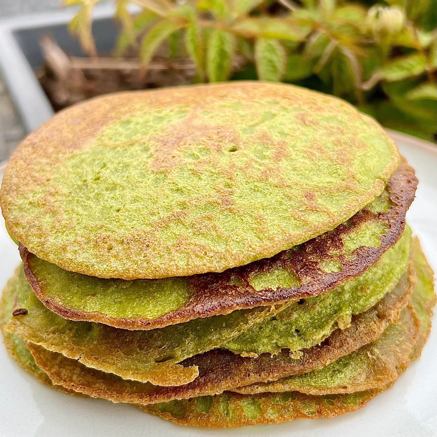 Vilde Pandekager | Glutenfri pandekager med ukrudt