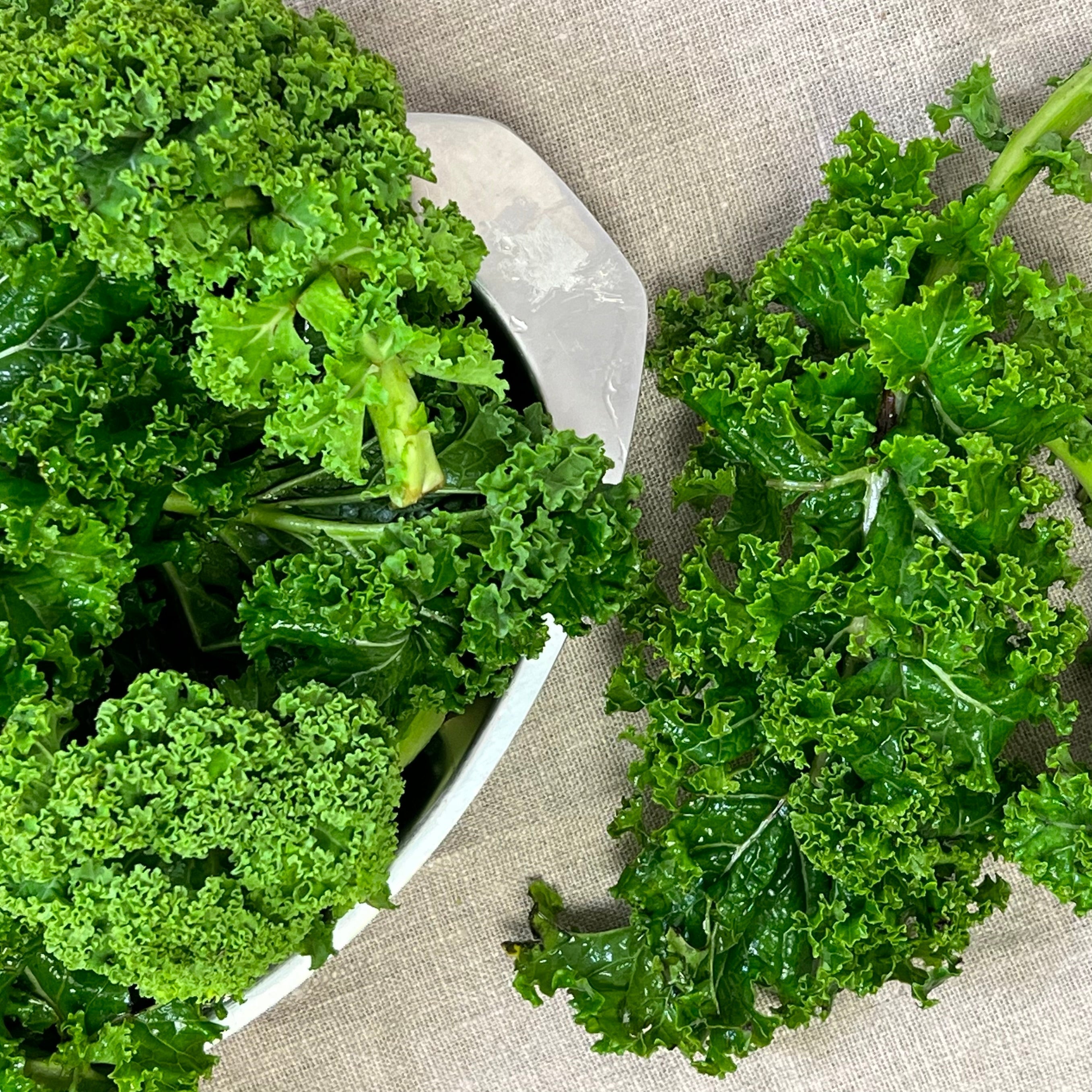 Alt du skal vide om grønkål