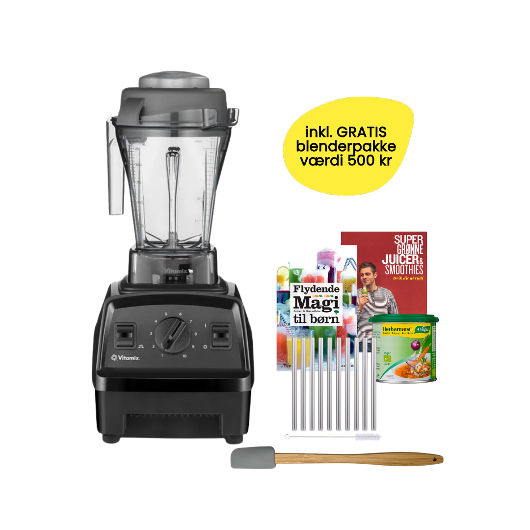 Vitamix Explorian E310