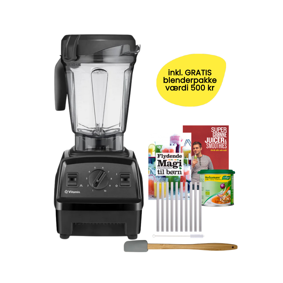 Explorian E320 | Vitamix