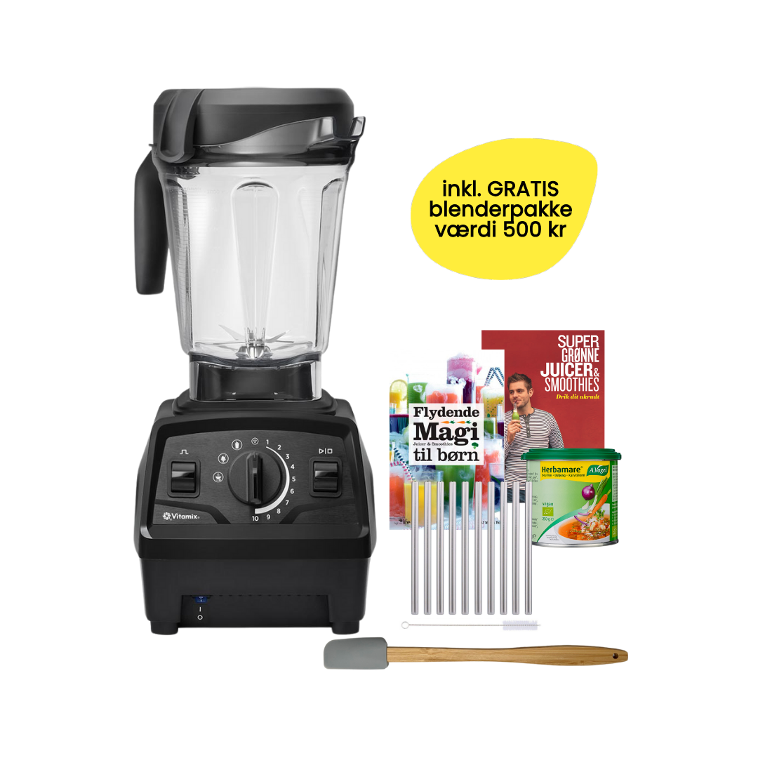 Vitamix Explorian E520