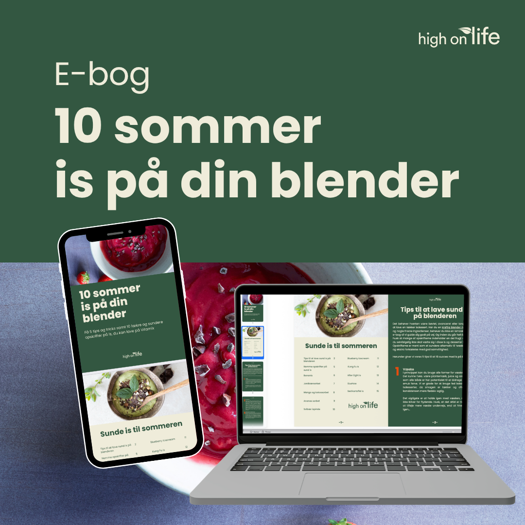 E-bog: 10 sommeris på din blender