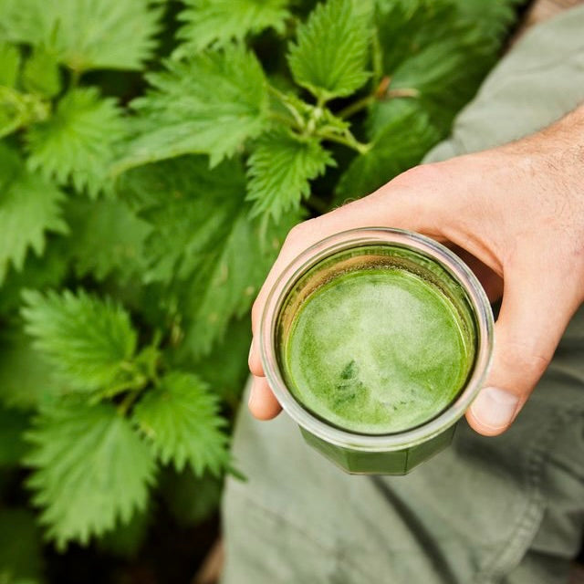 Brændenælde Bæst | Smoothie med brændenælde