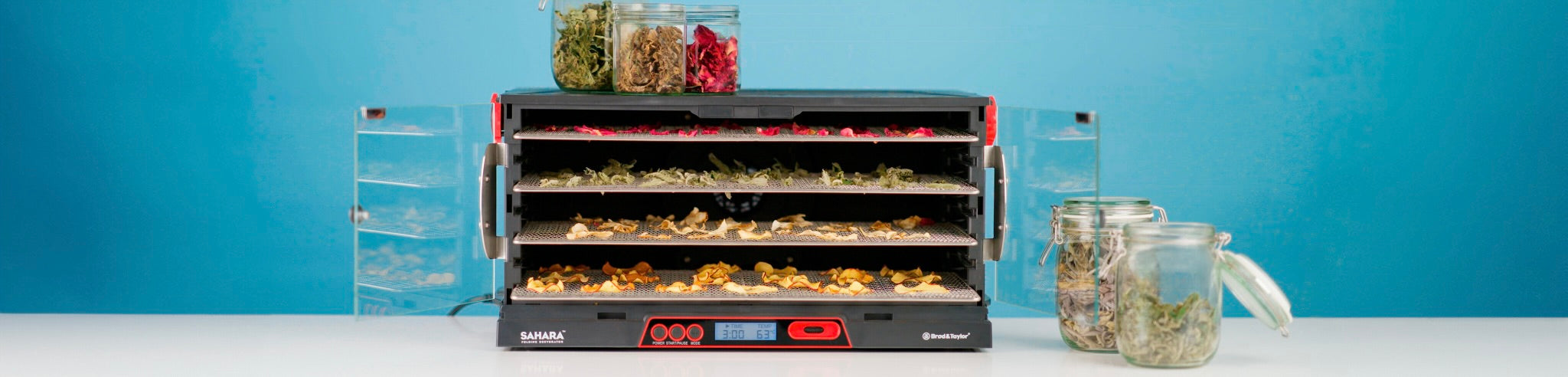 Dehydrator