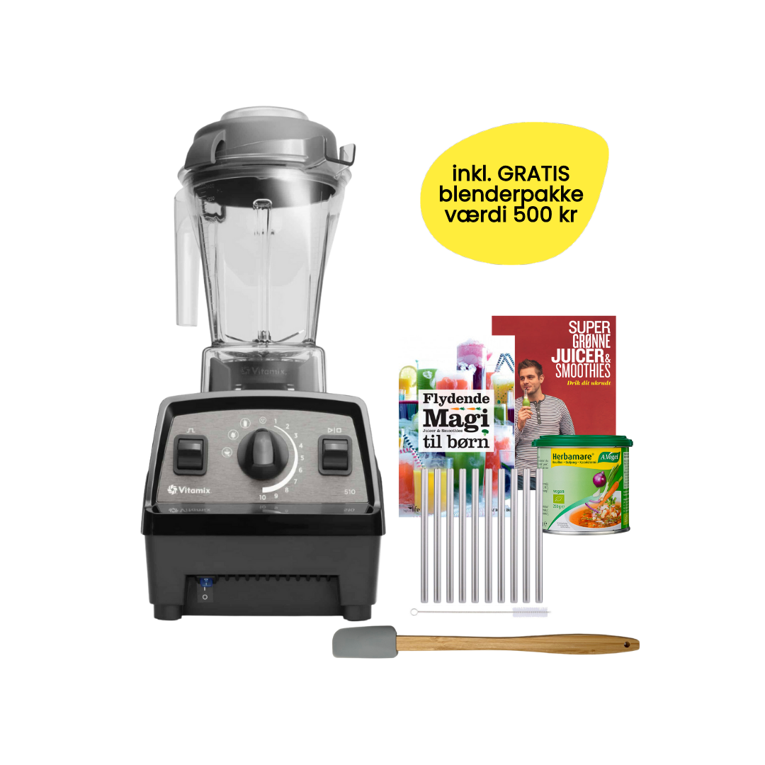 Vitamix Explorian E510