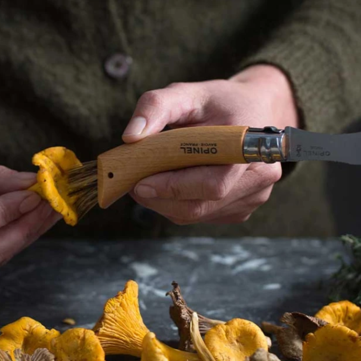 Opinel Svampekniv 8 cm, Bøg